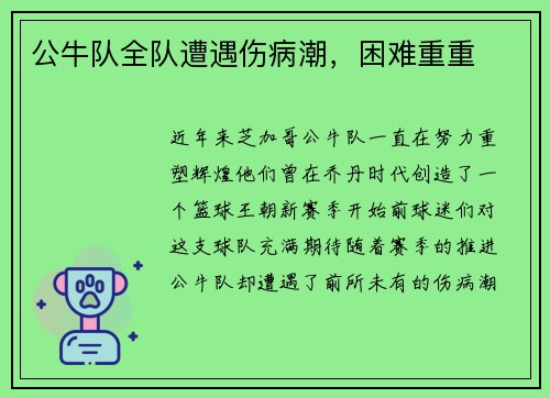 公牛队全队遭遇伤病潮，困难重重